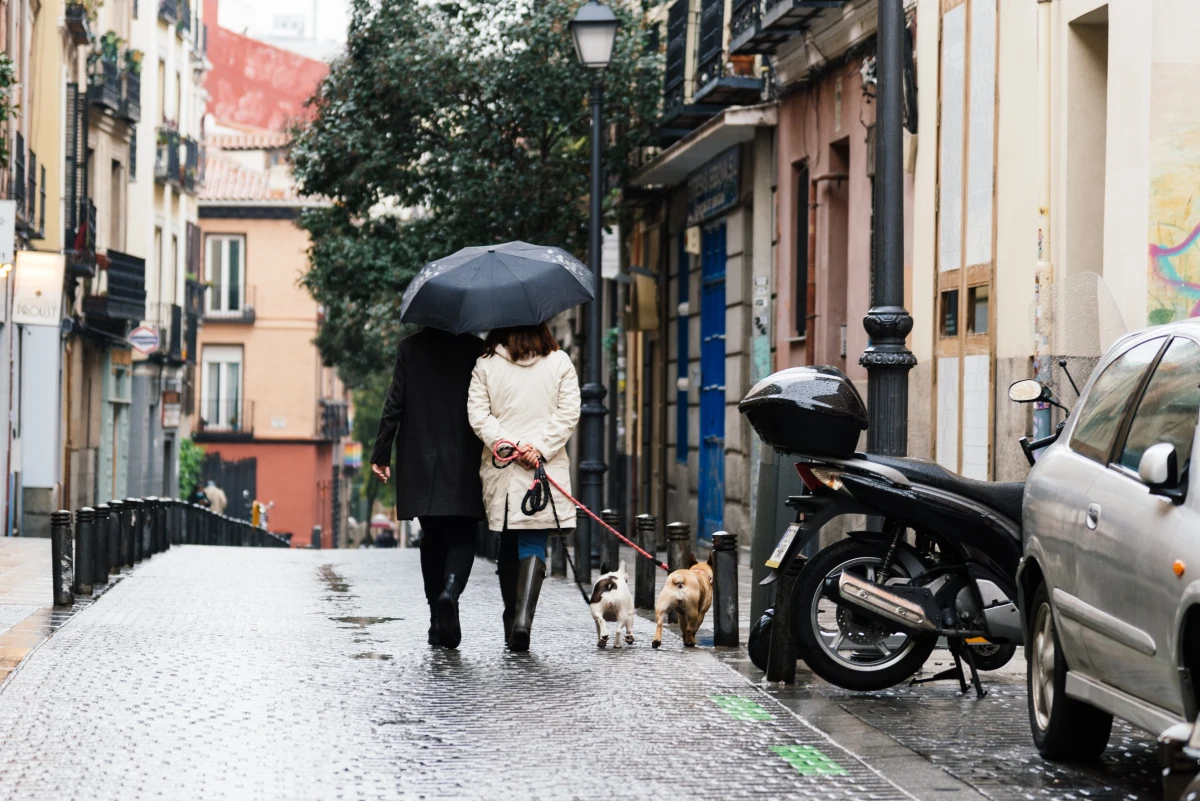 La gentrification : un phénomène qui bouleverse le marché immobilier
