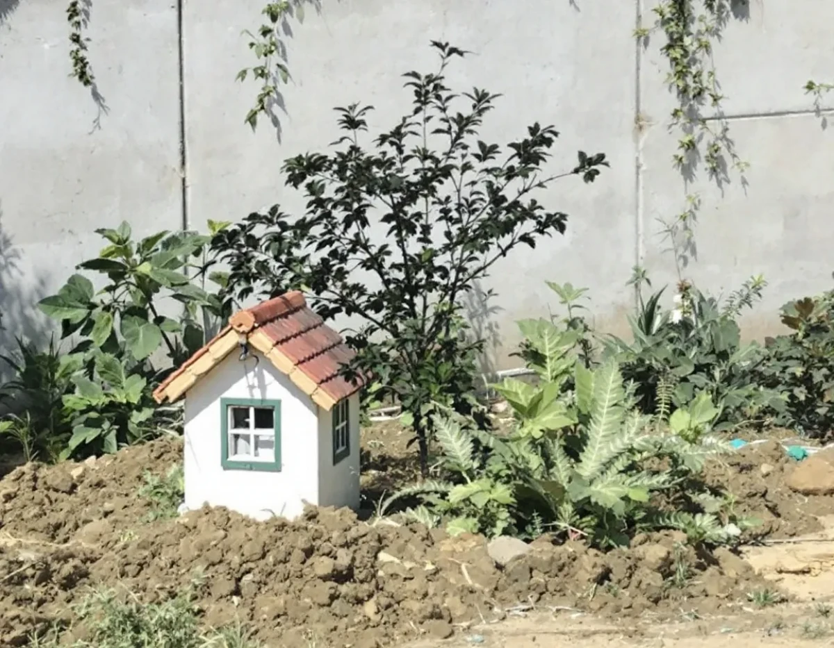 Maximiser les Revenus d'un Terrain Non Constructible: Conseils et Méthodes Efficaces